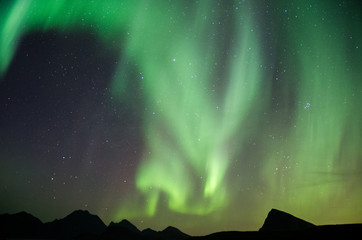 Aurores boréales aux Lofoten, Norvège