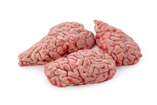 raw brain on a white background isolated