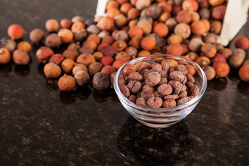 Corozo tropical fruit - Bactris guineensis