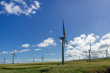 Hawaii Windfarm