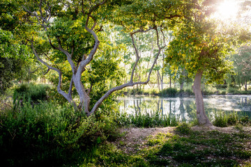 Preciosa vista en un parque soleado