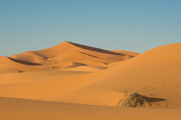 Fototapeta na wymiar Sahara Desert Dunes