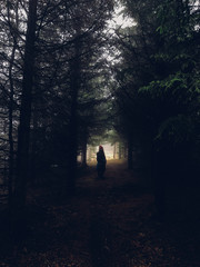 persona nel bosco
