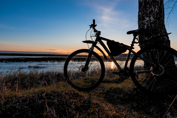 Silhouette of a bicycle standing near a tree against the backdrop of the setting sun