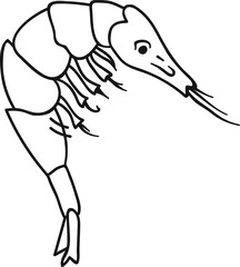 Hand Drawn Doodle Sketch Line Art Vector Illustration of Prawn Shrimp. Menu Cartoon Card Tattoo Black Outline Design Element Template
