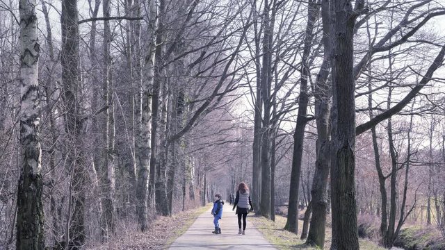 Mother with son on walk. Woman with child walks through countryside. Walking way with tree colonnade in natural parkland. Beautiful path leading alley. Center row composition, sunny spring day