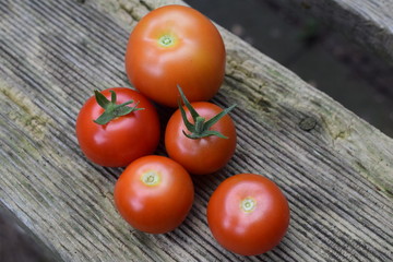 Tomaten