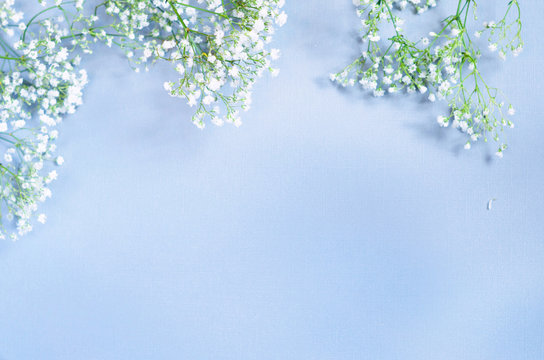Styled stock photo. Feminine wedding desktop mockup with baby's breath Gypsophila flowers on blue background. Empty space. Floral frame, web banner. Top view. Square icture for blog or social media.