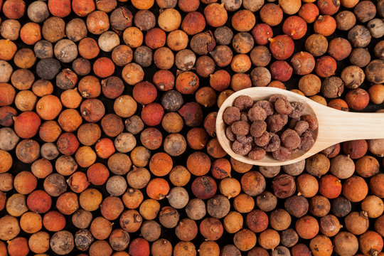 Corozo tropical fruit - Bactris guineensis