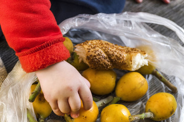 baby and Japanese medlar, baby japanes medlar from inside the bag,
