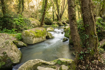 long exposure of a stream in the natural park of 