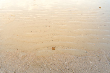 Sand beach background