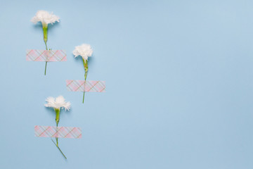 Three white flowers taped for blue pastel background with pink washi tape. Place for text on the right side of frame. Minimal concept. 