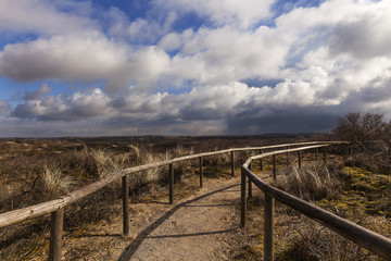 Fototapeta na wymiar Dutch dunes with marram grass and beautiful cloudy sky