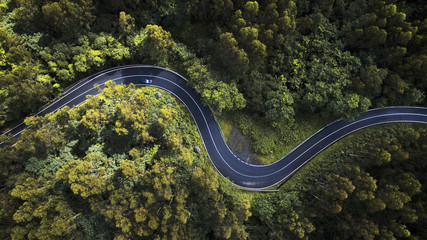 Aerial view of winding road amidst trees in forest