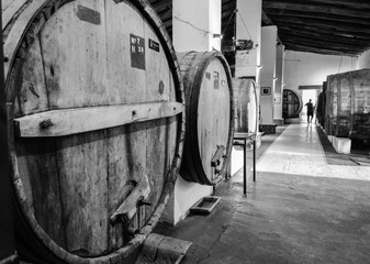 Bodega en cafayate