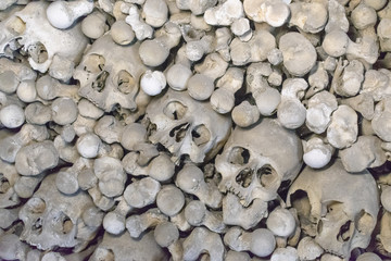 old human skull and bones stacked up by the mountain