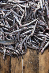 Market display of the just arrived fish from the Mediterranean sea