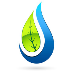 Baumblatt und Wassertropfen - tree leaf and water drop