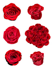 flower rose petal blosspm background