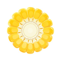 Corn cob. Organic food. Corncob natural meal. Ripe Maize.