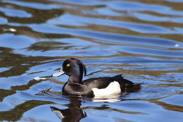 Санкт-Петербург