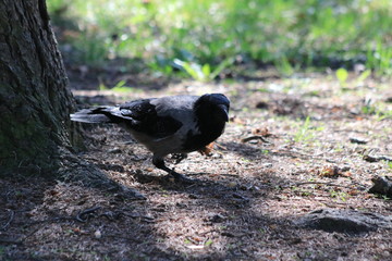 Санкт-Петербург