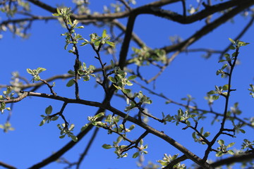 Санкт-Петербург