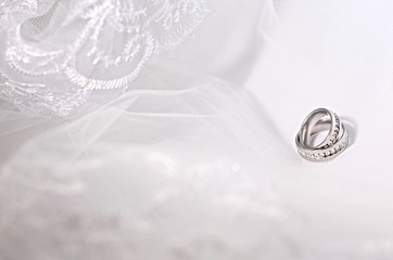 Two wedding rings and a veil