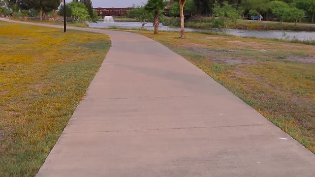 caminando en el parque