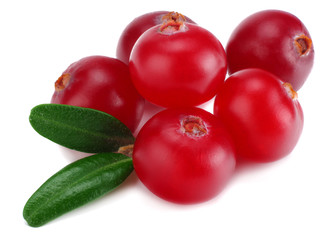 Cranberry with leaves isolated on white. With clipping path. macro