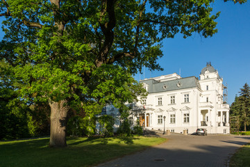 Fototapeta na wymiar Palace in Teresin, Mazowieckie, Poland