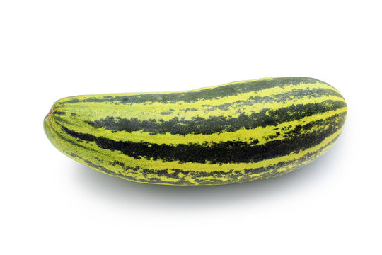 Cucumis melo on white background (isolated on white and clipping path)