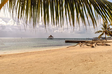 Fototapeta na wymiar Tropical beach scene with calm ocean waters and cloudy sky.