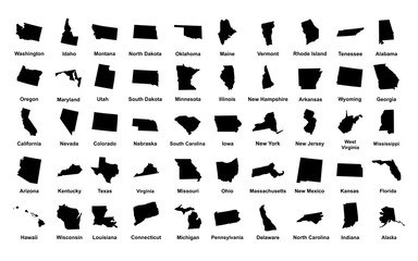 United States of America. 50 States. Vector illustration
