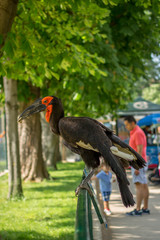 Tiergarten Schönbrunn