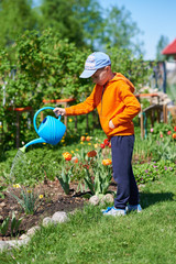 Caucasian boy watering flowers at a household plot. © Artem