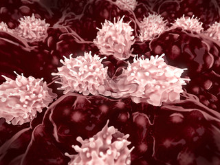 Stammzellenbildung im Knochenmark - obrazy, fototapety, plakaty