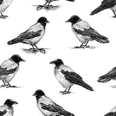 Seamless pattern of the crows sketches