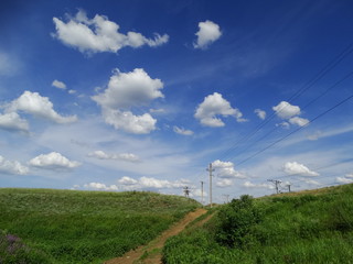 Serene rural landscape