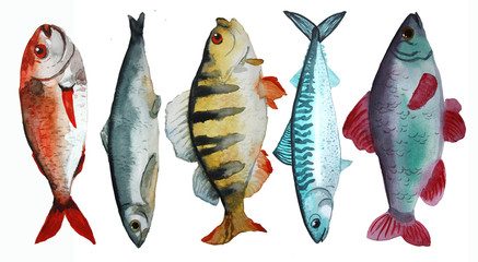 set with fish