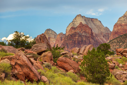 Beautiful scenery in Zion National Park, Utah.