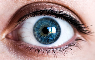 Macro shot of an blue iris and pupil female eyeball staring into the camera