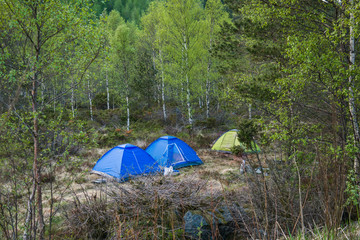 three tents in the forest