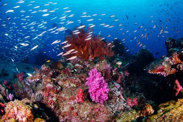 Similan Islands - wide angle