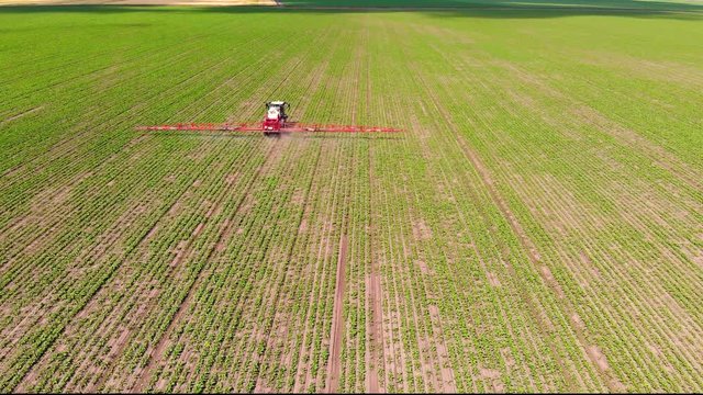 Aerial view of crop sprayed with pesticides, Drone shot flying over agricultural field tractor and sprayer, protection from disease in order to increase yield