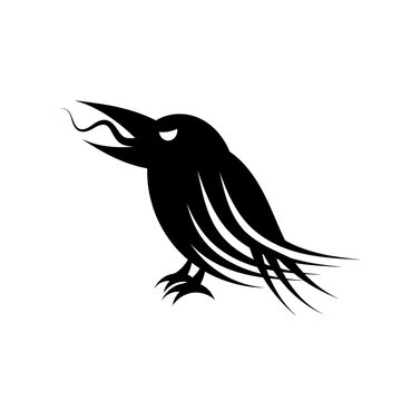 Black raven bird