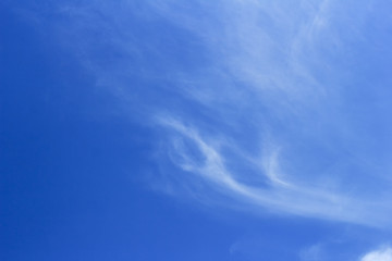 white fluffy clouds in the blue sky