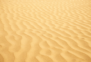 Sand in the desert