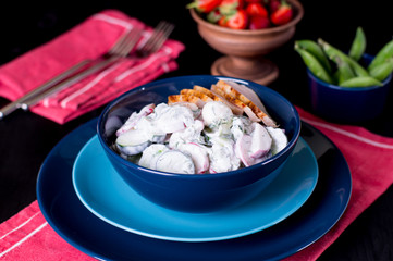 Spring sadishes salad in yogurt sauce